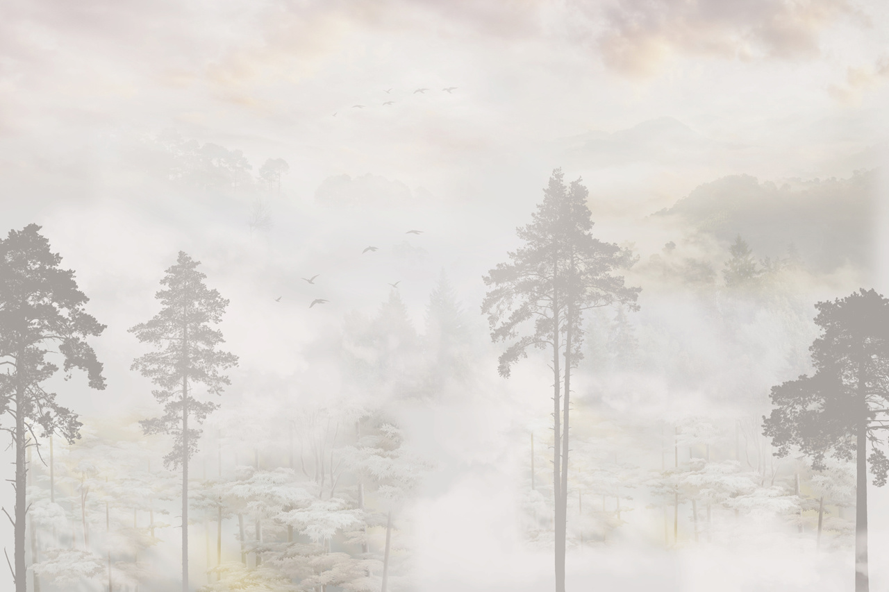 Фотообои Деревья в тумане на рассвете